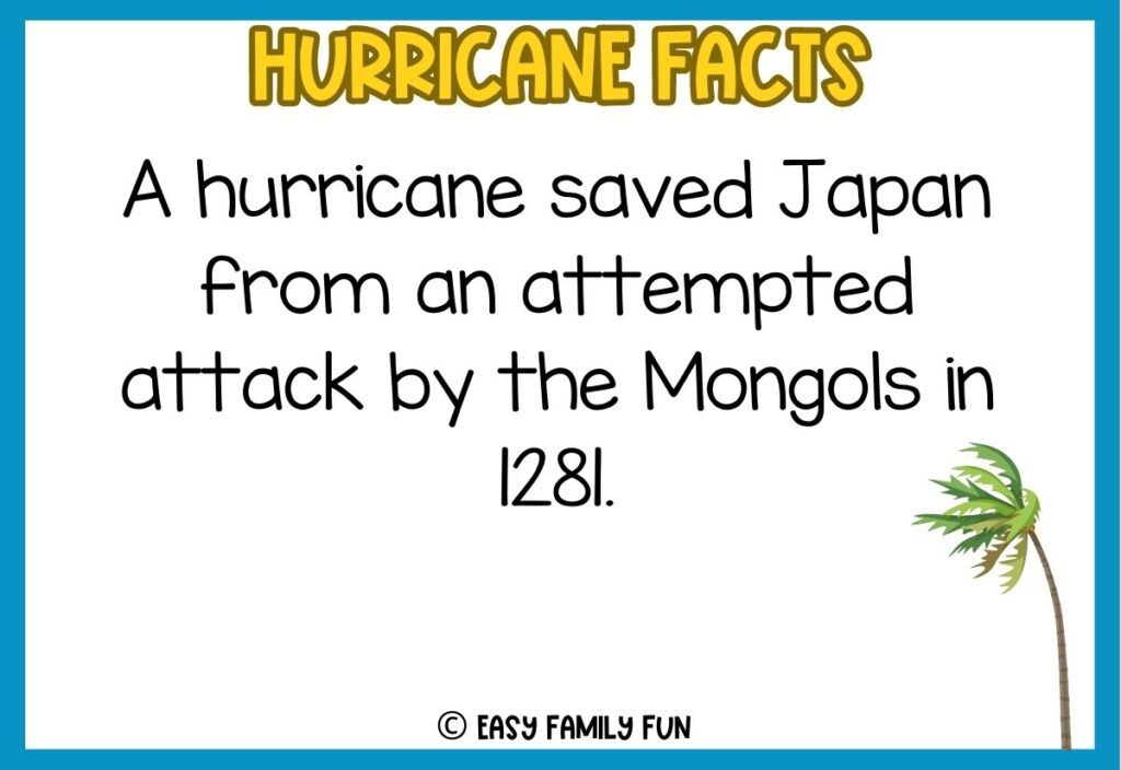 In post image with white background, blue border, bold yellow title stating "Hurricane Facts", an image of a tree blowing in the wind, and a hurricane fact. 