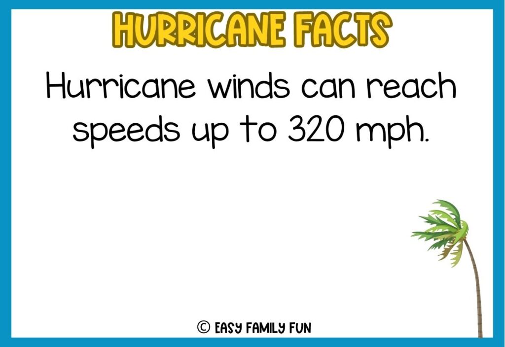 In post image with white background, blue border, bold yellow title stating "Hurricane Facts", an image of a tree blowing in the wind, and a hurricane fact. 