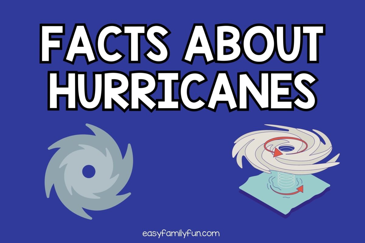 100 Interesting Facts About Hurricanes
