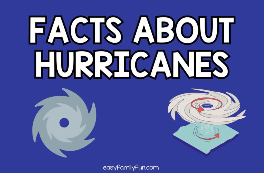 100 Interesting Facts About Hurricanes