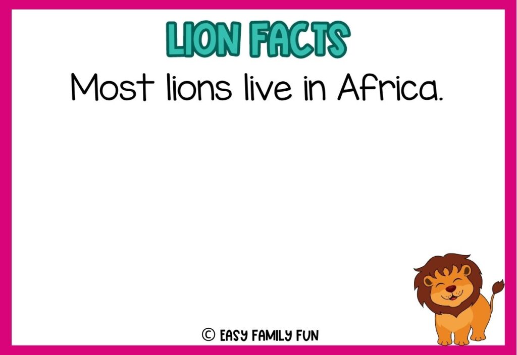 in post image with white background, pink border, blue title stating "Lions Facts", text of a lion fact, and an image of a lion