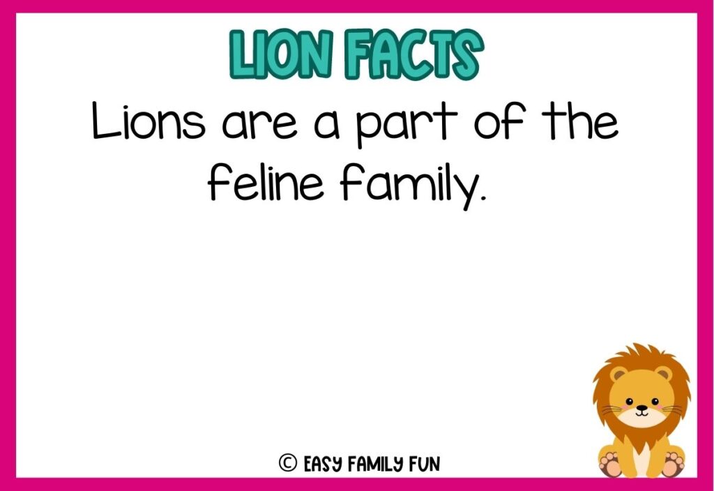 in post image with white background, pink border, blue title stating "Lions Facts", text of a lion fact, and an image of a lion