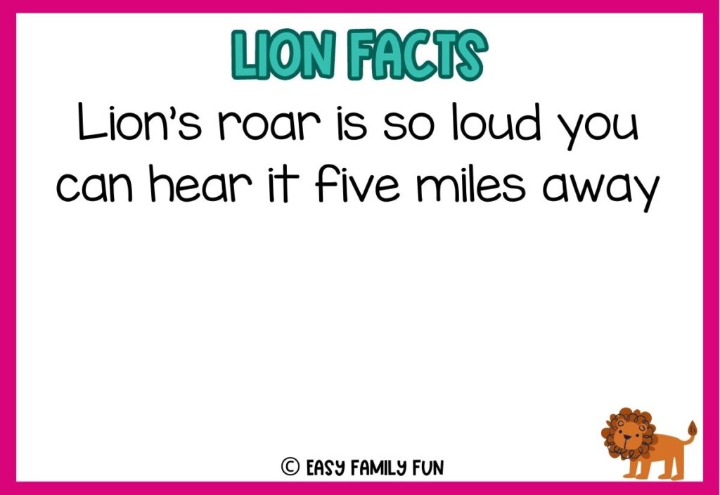 in post image with white background, pink border, blue title stating "Lions Facts", text of a lion fact, and an image of a lion