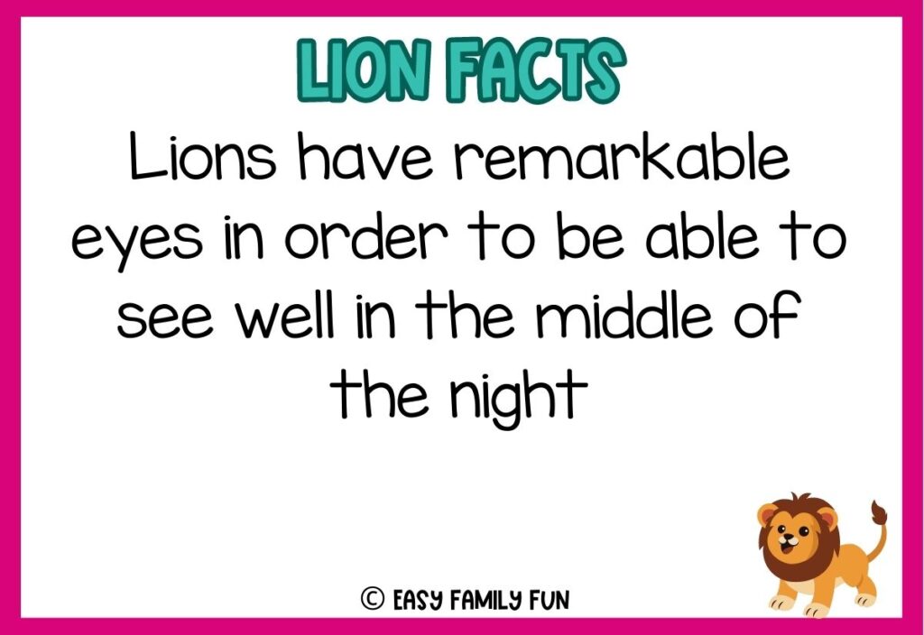 in post image with white background, pink border, blue title stating "Lions Facts", text of a lion fact, and an image of a lion