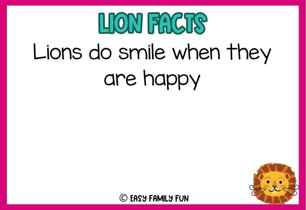 in post image with white background, pink border, blue title stating "Lions Facts", text of a lion fact, and an image of a lion