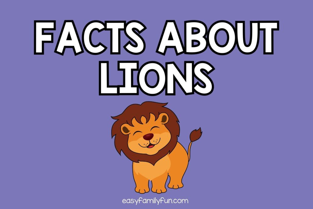 featured image with purple background, bold white text stating "Facts About Lions" with an image of a lion