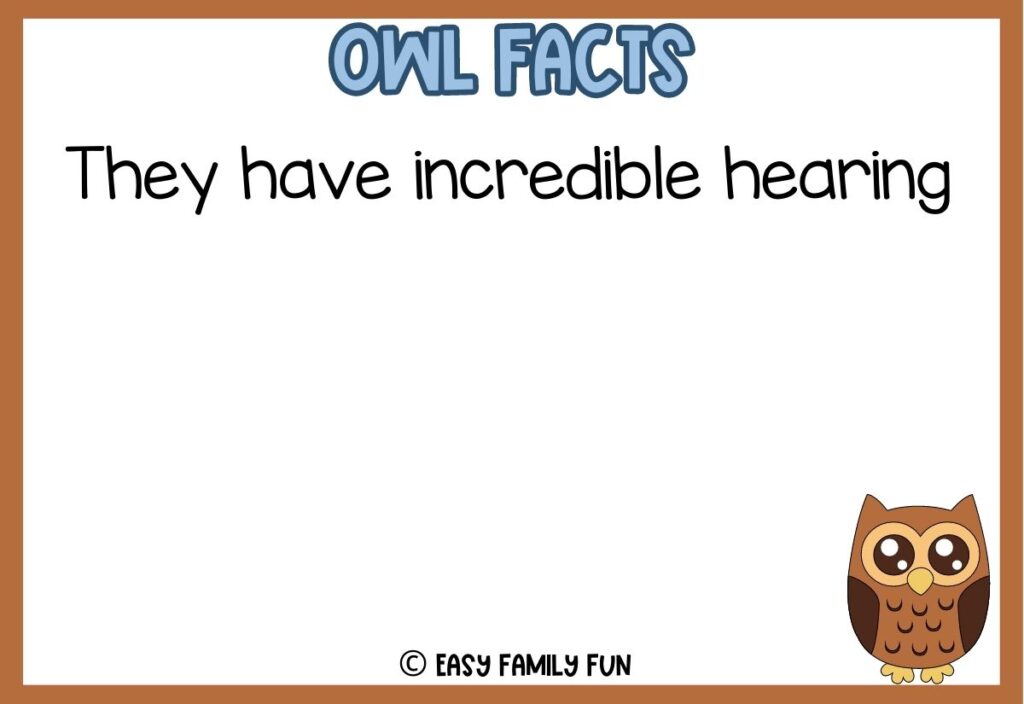 in post image with white background with brown border, blue text title stating "Owl Facts", owl fact and an owl image