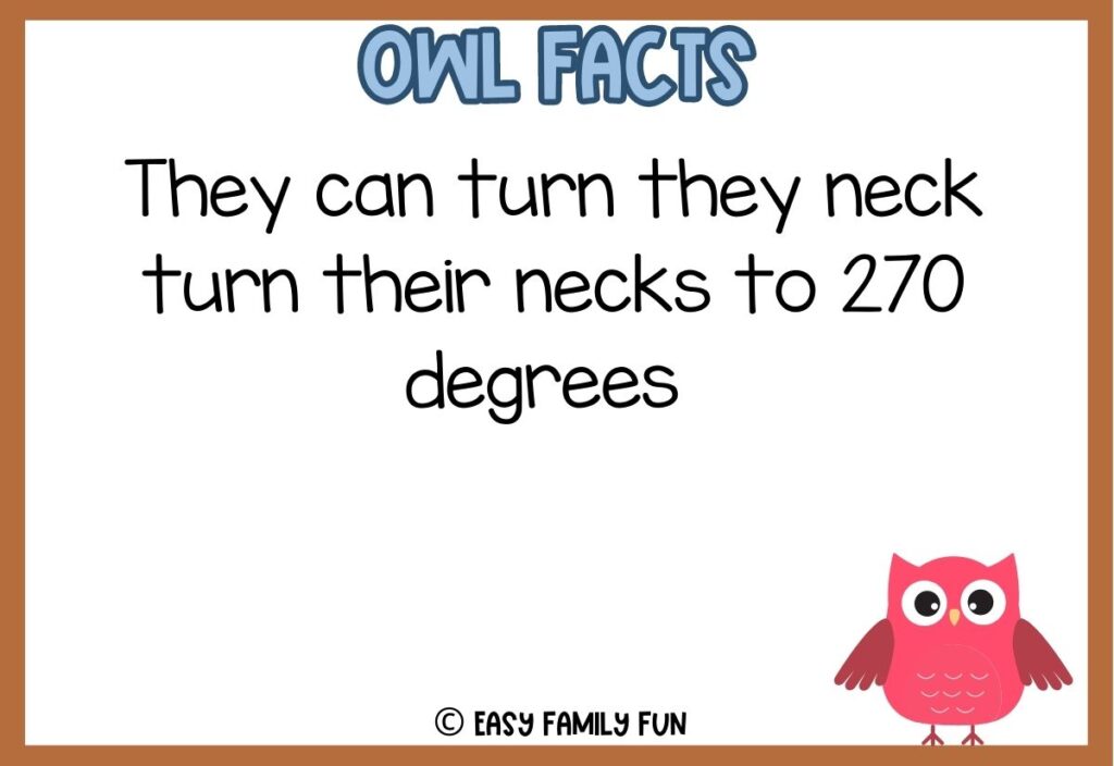 in post image with white background with brown border, blue text title stating "Owl Facts", owl fact and an owl image