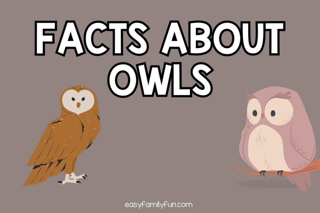 featured image with brown background, bold white text stating "Facts About Owls and two owl images. 