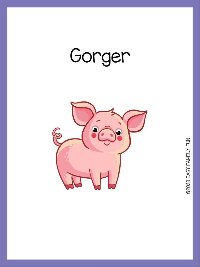 in post image with white background, purple border, image of a pig, and funny pig name