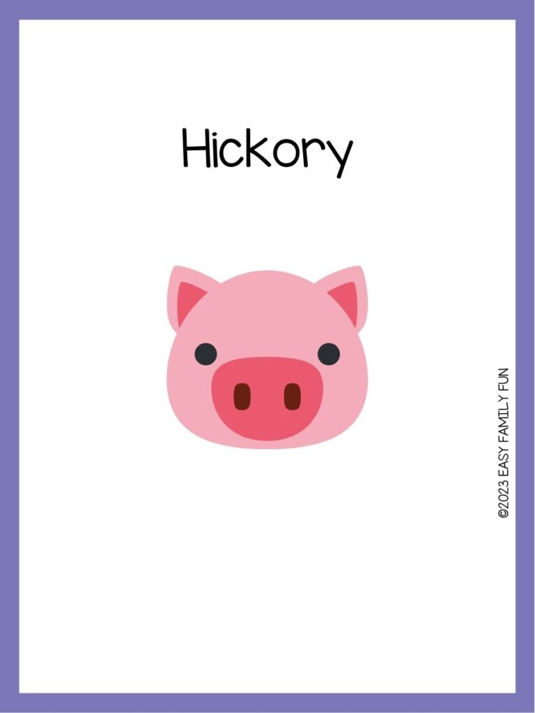 in post image with white background, purple border, image of a pig, and funny pig name