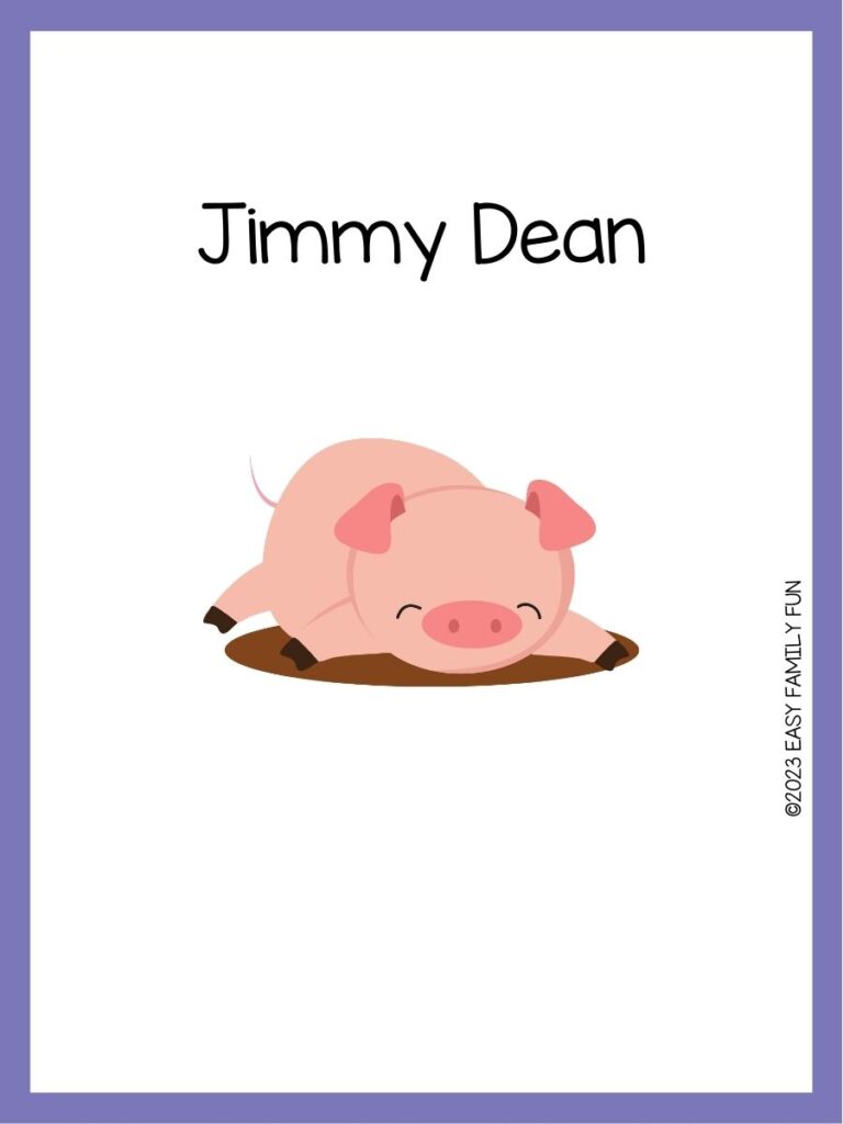 in post image with white background, purple border, image of a pig, and funny pig name