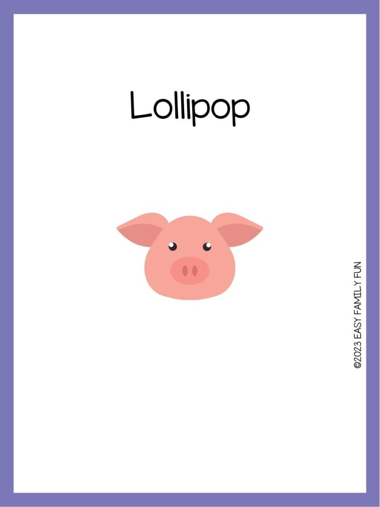 in post image with white background, purple border, image of a pig, and funny pig name