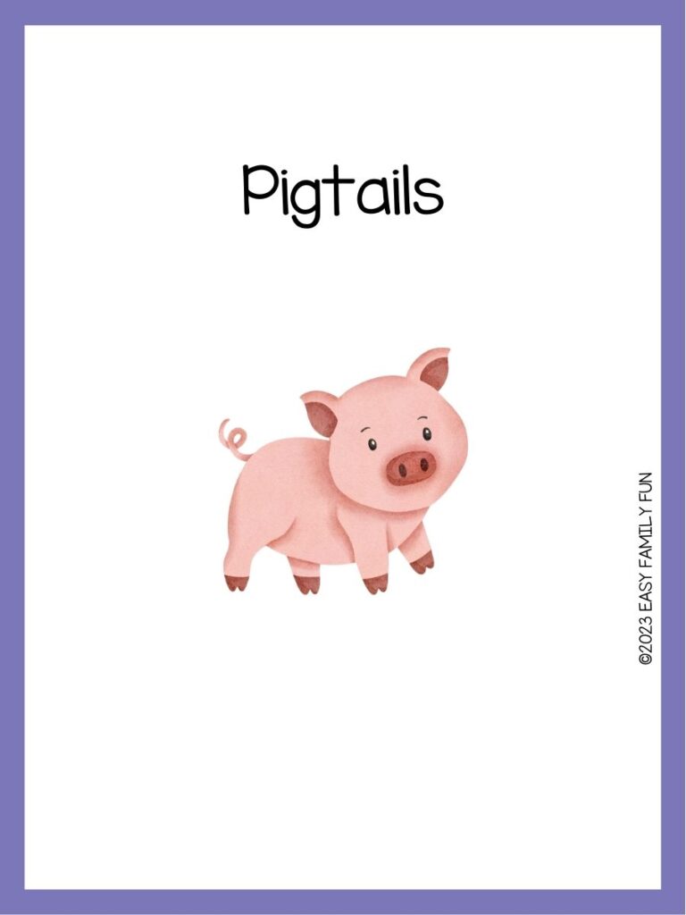 in post image with white background, purple border, image of a pig, and funny pig name