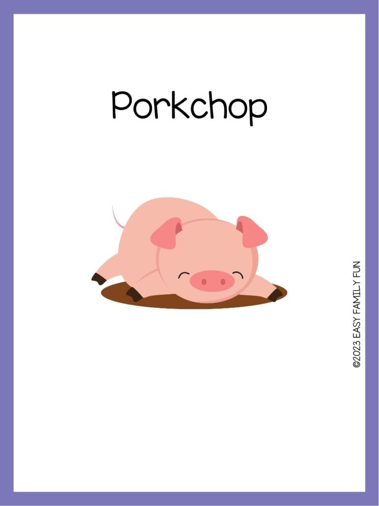 in post image with white background, purple border, image of a pig, and funny pig name