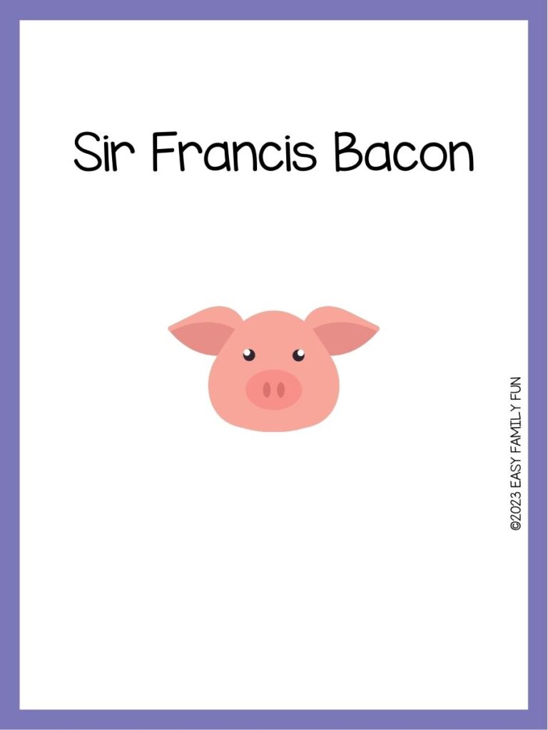 in post image with white background, purple border, image of a pig, and funny pig name