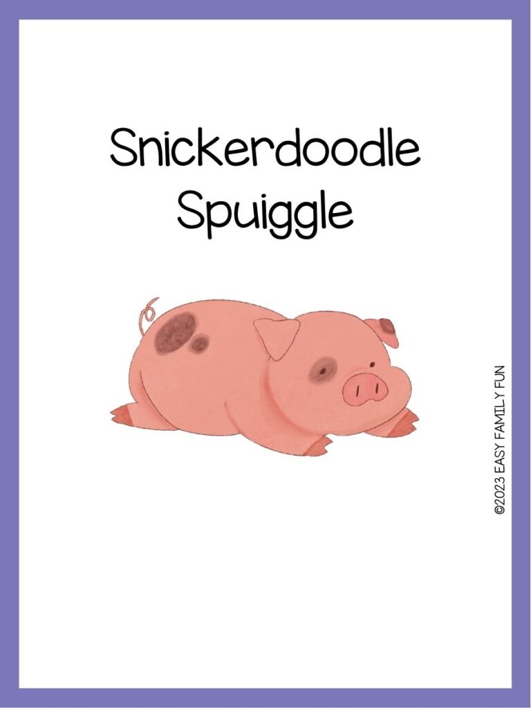 in post image with white background, purple border, image of a pig, and funny pig name