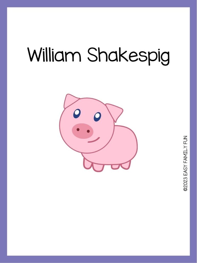 in post image with white background, purple border, image of a pig, and funny pig name