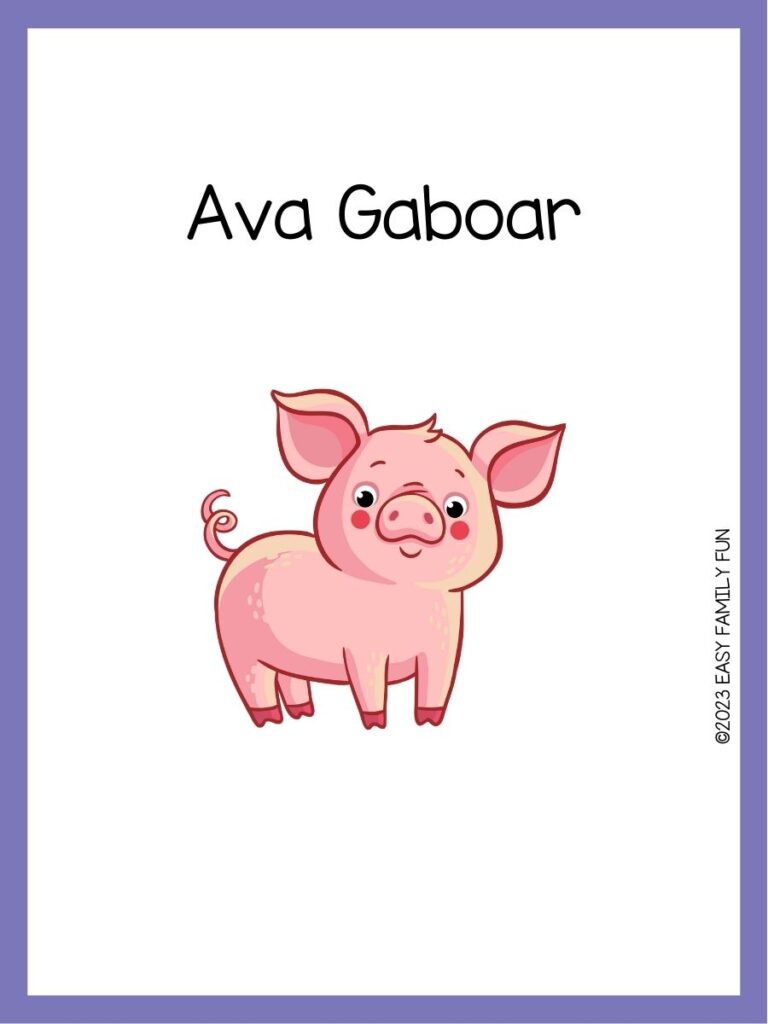 in post image with white background, purple border, image of a pig, and funny pig name