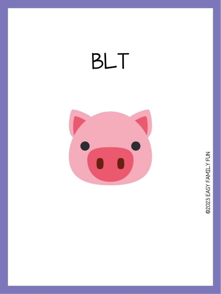 in post image with white background, purple border, image of a pig, and funny pig name