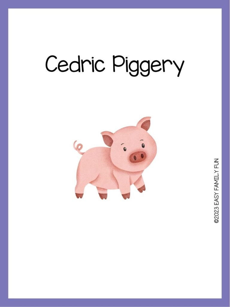 in post image with white background, purple border, image of a pig, and funny pig name