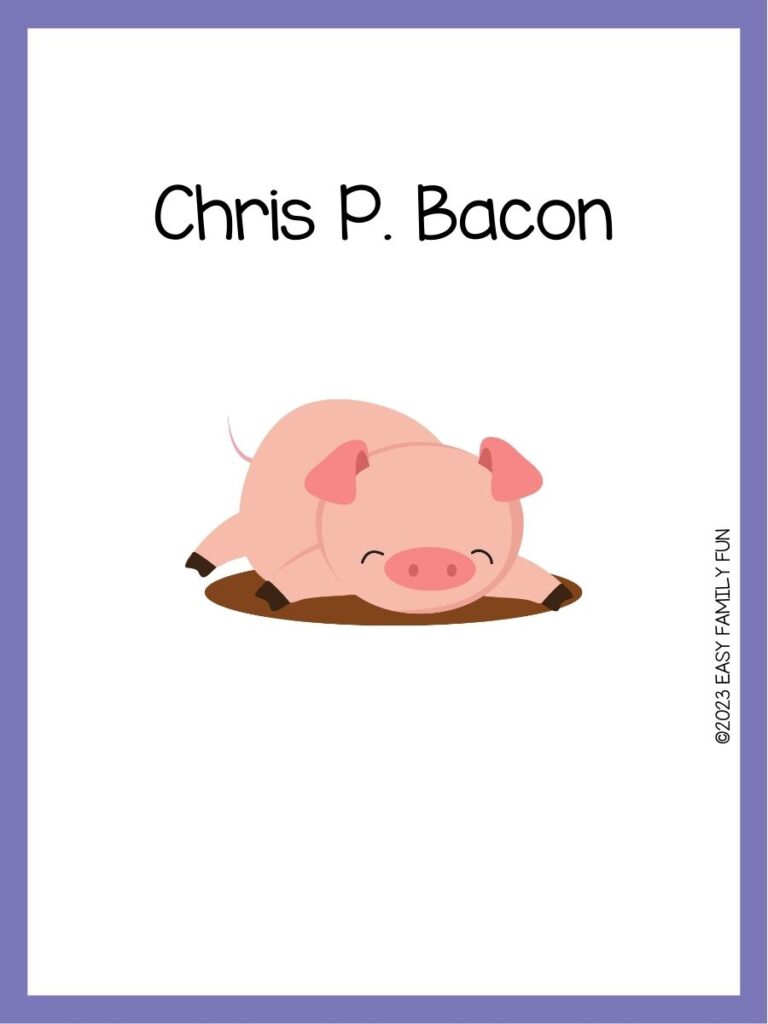 in post image with white background, purple border, image of a pig, and funny pig name