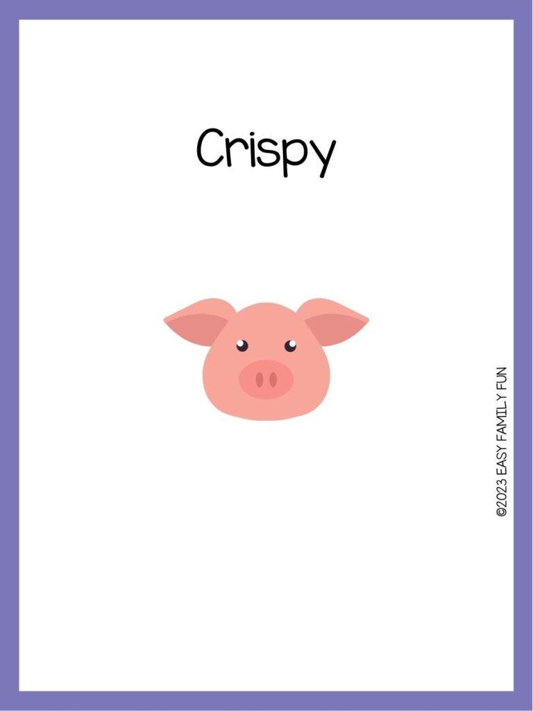 in post image with white background, purple border, image of a pig, and funny pig name