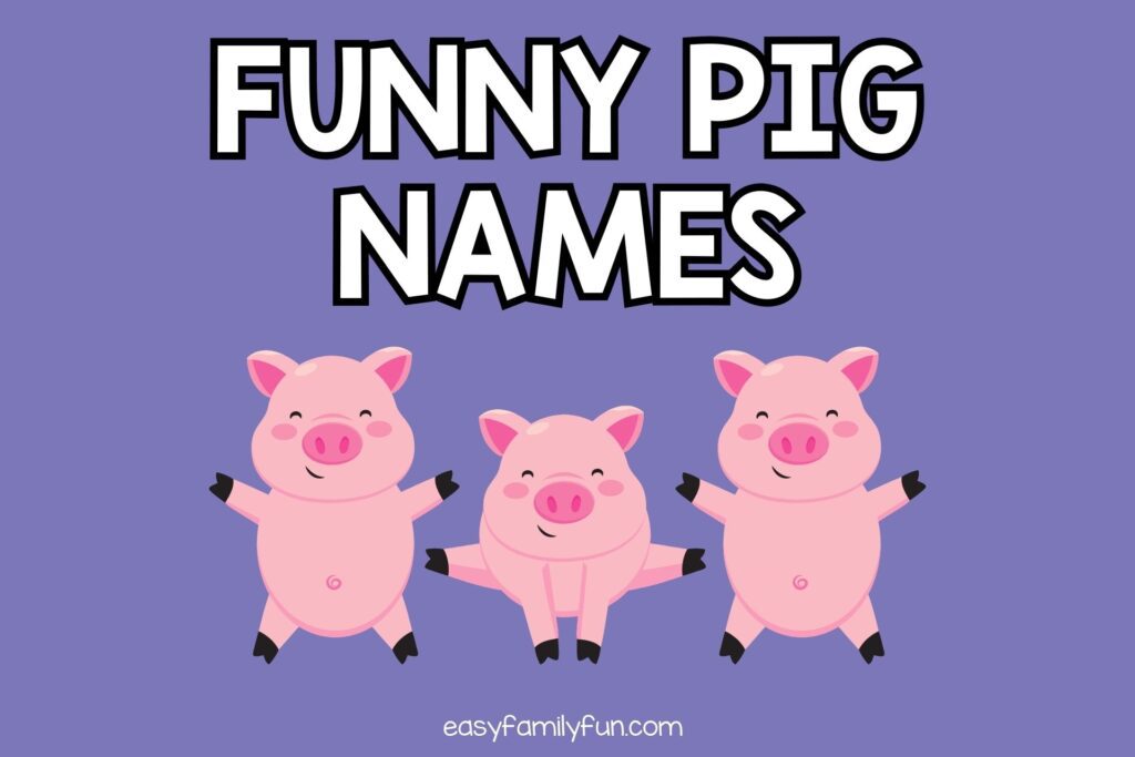 featured image with purple background, bold white text stating "Funny Pig Names" and image of three pigs