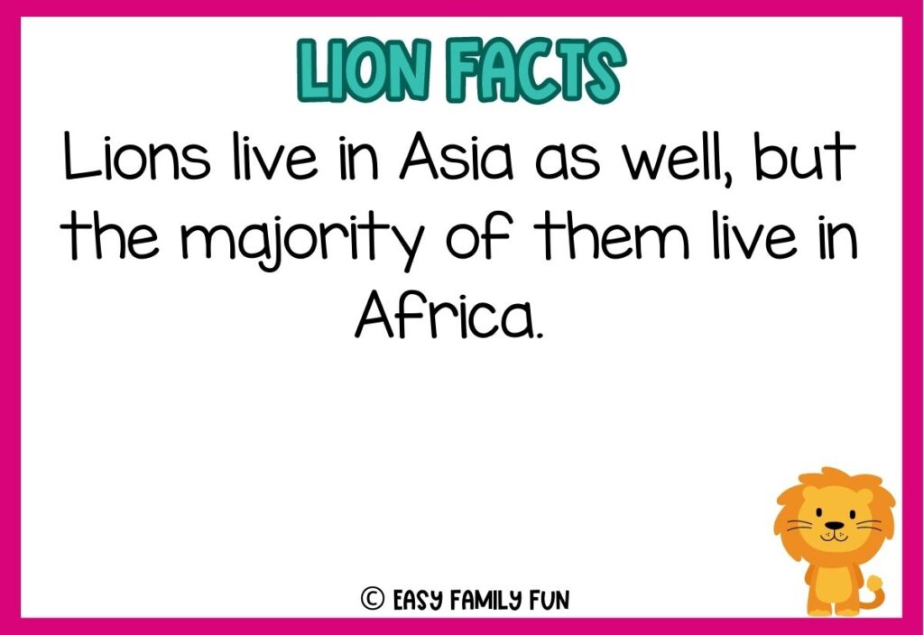 in post image with white background, pink border, blue title stating "Lions Facts", text of a lion fact, and an image of a lion