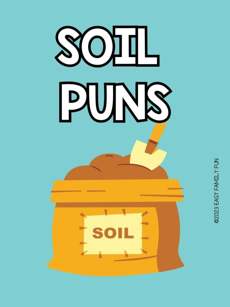 pin image with blue background, bold white text stating "Soil Puns" and an image of a bag of soil