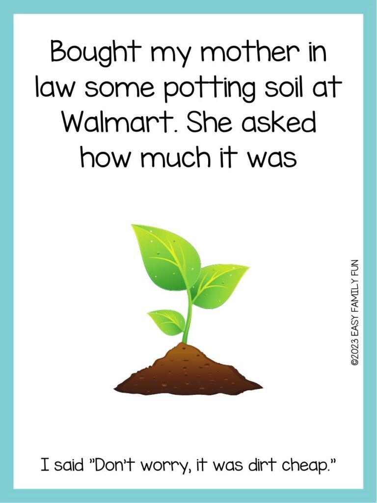 in post image with white background, blue border, text of soil pun and image of soil with plant growing out of it