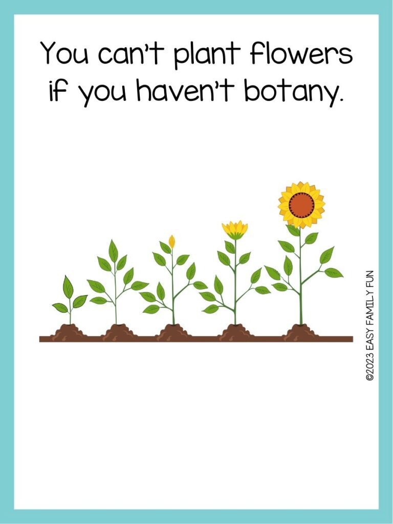 in post image with white background, blue border, text of soil pun and image of soil with flowers growing