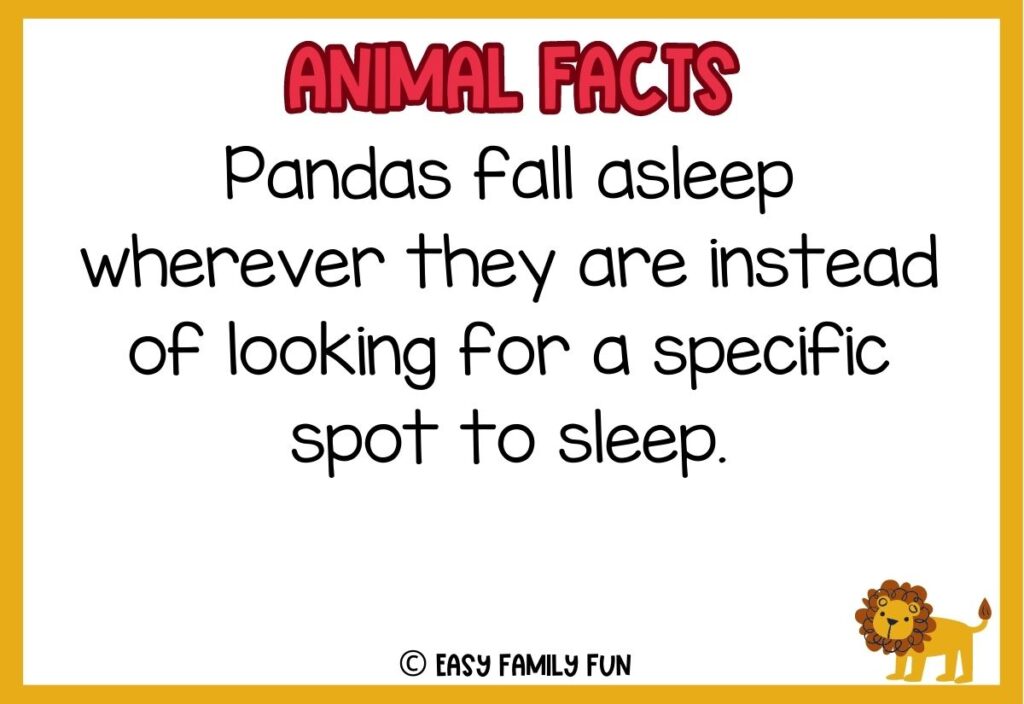 in post image with white background, yellow border, red title stating "Animal Facts", text of a weird animal fact and an image of a lion