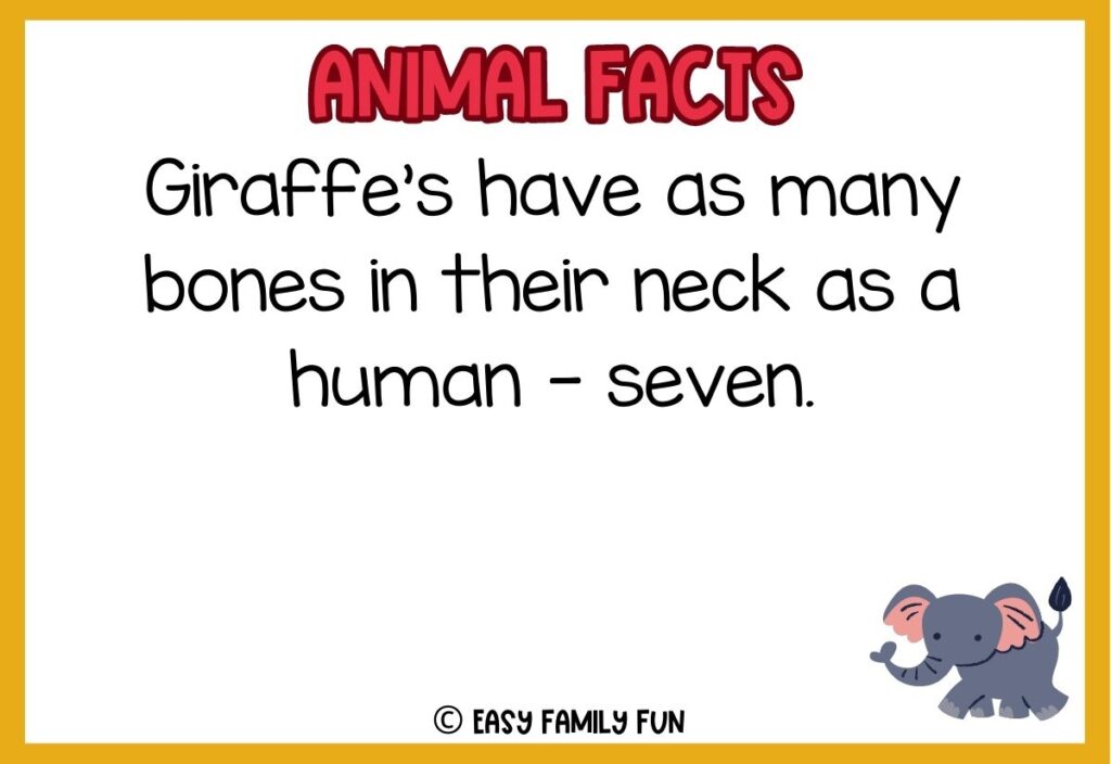 in post image with white background, yellow border, red title stating "Animal Facts", text of a weird animal fact and an image of a elephant