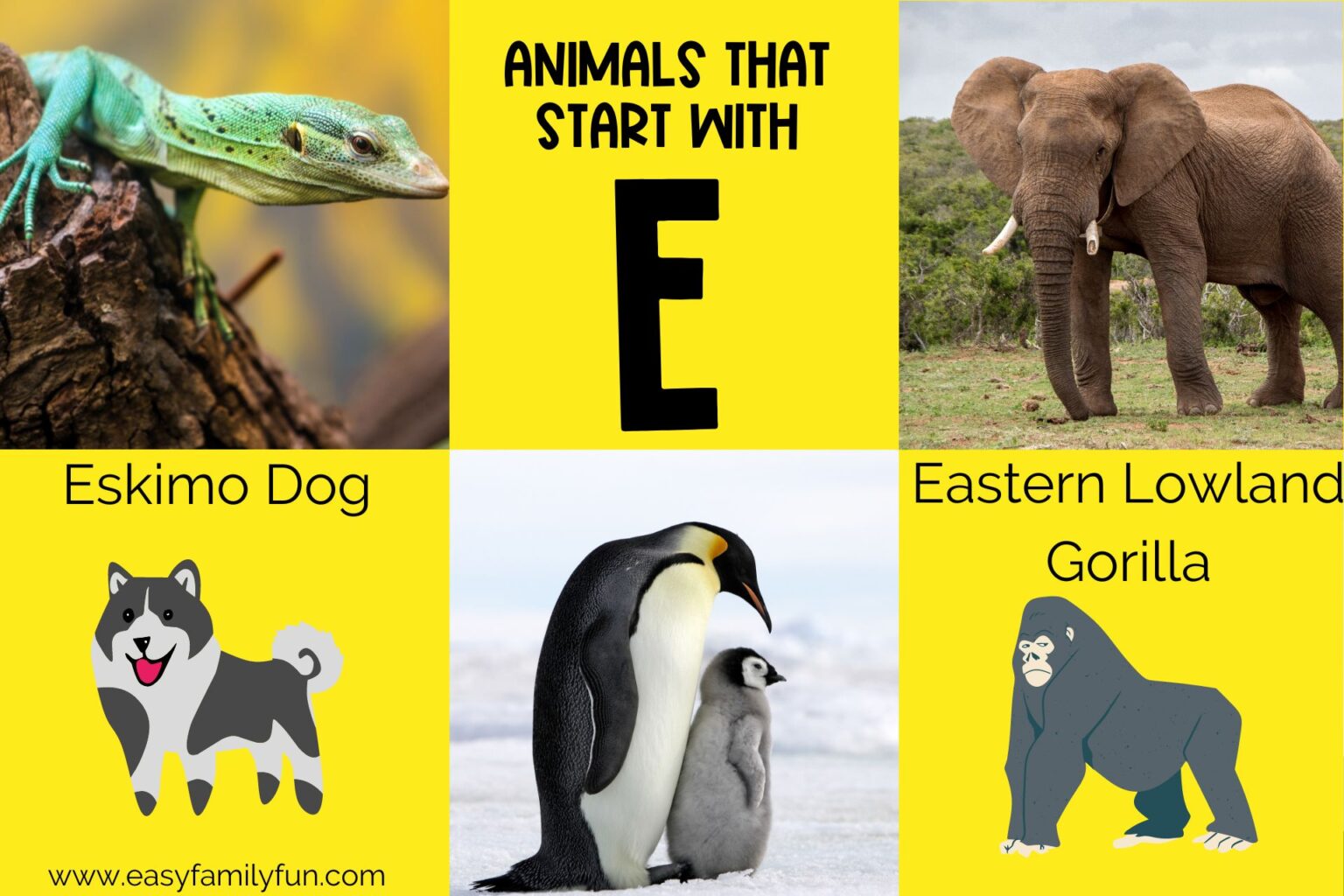 119 Intriguing Animals that Begin with E