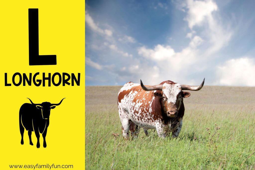 in post image with yellow background, large letter L, name of animal and image of a longhorn