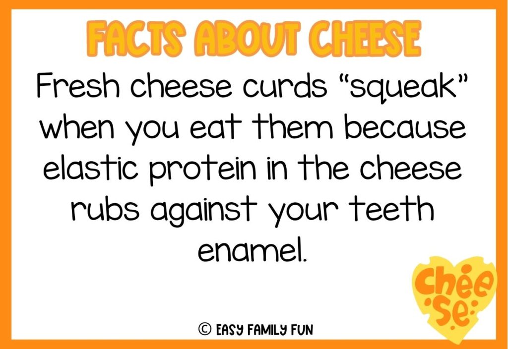 in post image with white background, bold yellow title stating "Facts About Cheese", text of a fact about cheese and an image of cheese