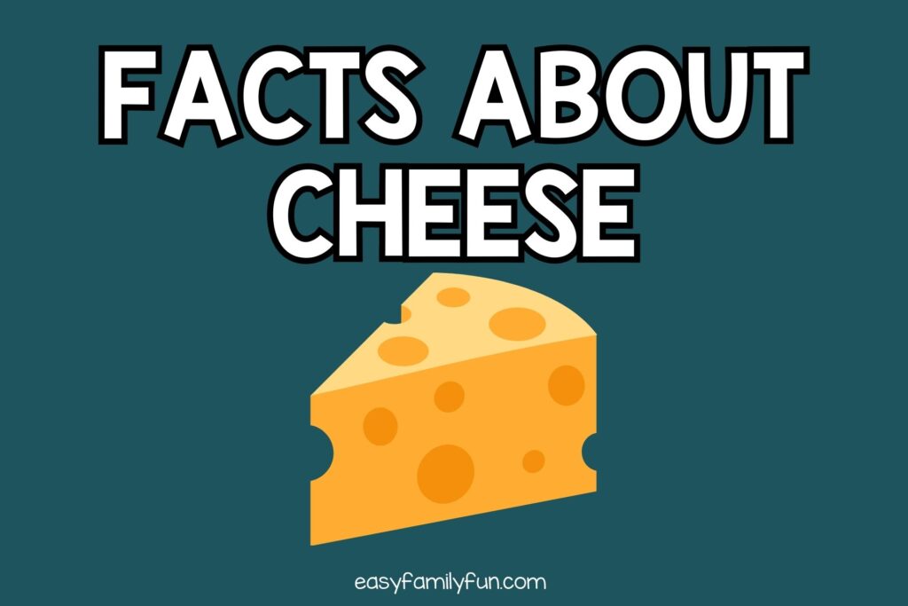 featured image with blue background, bold white title stating "Facts About Cheese" and an image of cheese