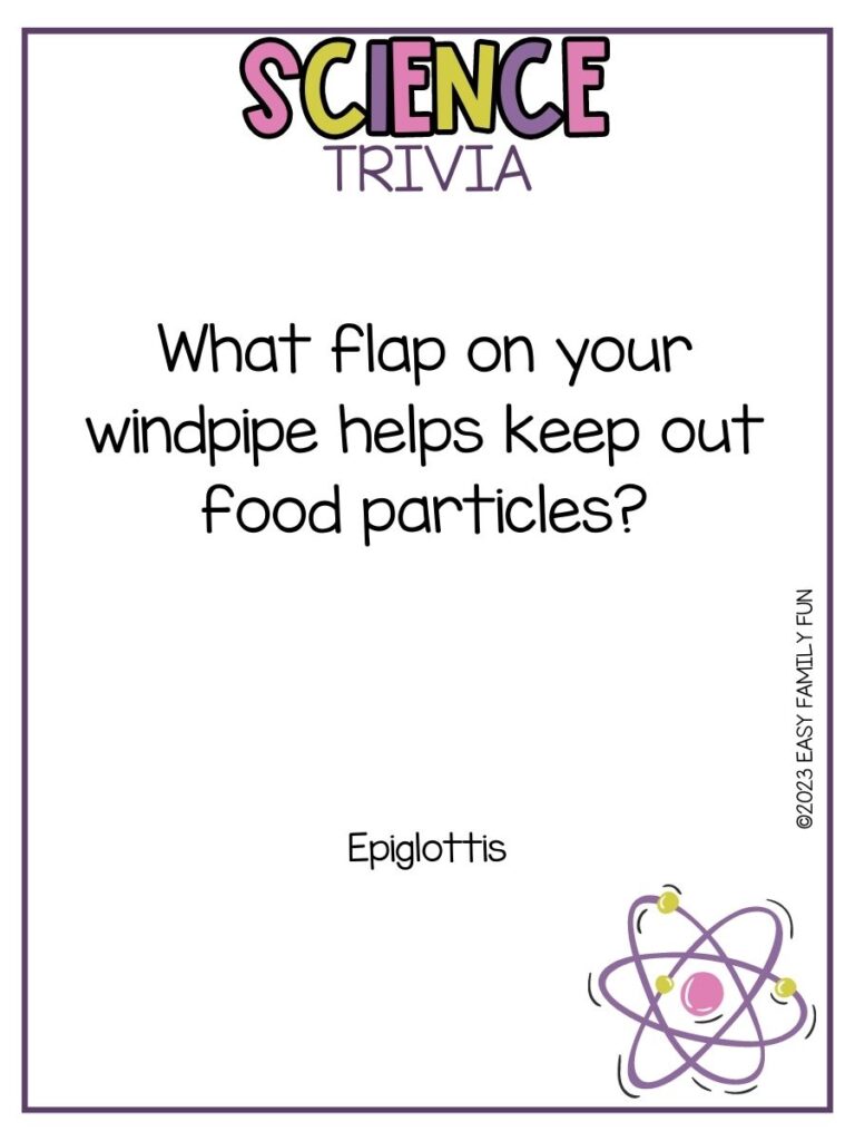 in post image with white background, purple border, bold title stating "Science Trivia", text of a science trivia question and an image of an atom