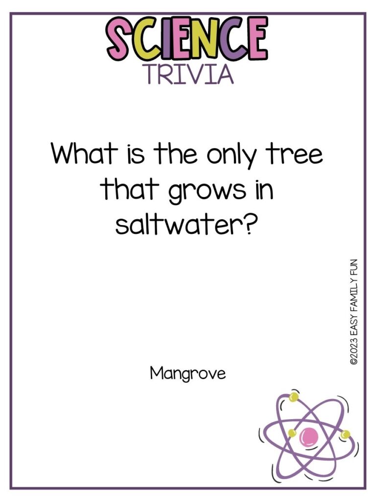 in post image with white background, purple border, bold title stating "Science Trivia", text of a science trivia question and an image of an atom