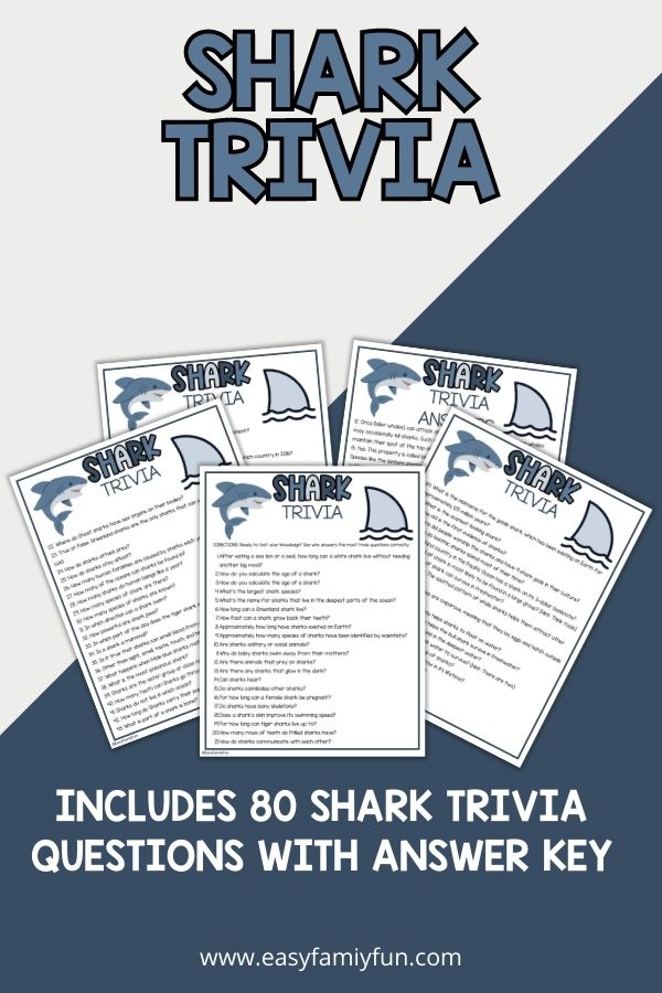mockup image with white and blue background, bold blue title saying "Shark Trivia", and images of shark trivia sheet