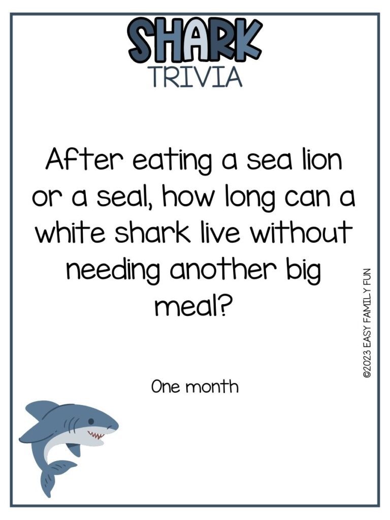 in post image with white background, blue border, bold blue title that states "Shark Trivia", text of a shark trivia question and answer, and image of a shark 