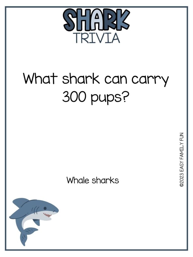 in post image with white background, blue border, bold blue title that states "Shark Trivia", text of a shark trivia question and answer, and image of a shark 