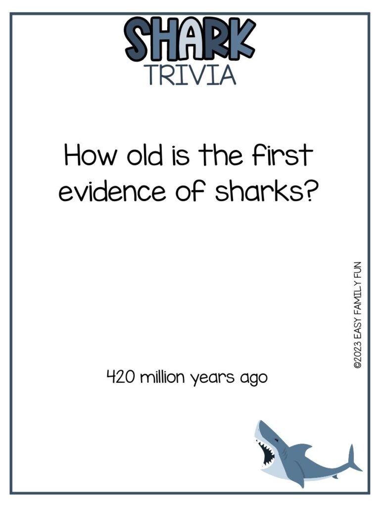 in post image with white background, blue border, bold blue title that states "Shark Trivia", text of a shark trivia question and answer, and image of a shark 