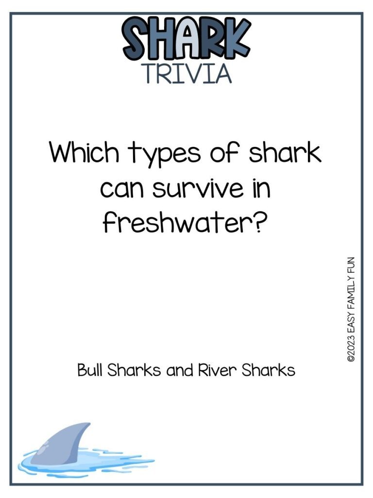 in post image with white background, blue border, bold blue title that states "Shark Trivia", text of a shark trivia question and answer, and image of a shark fin