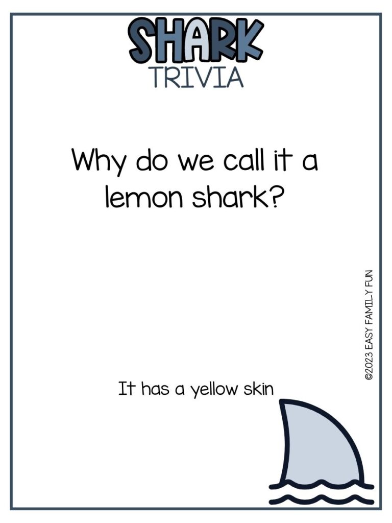 in post image with white background, blue border, bold blue title that states "Shark Trivia", text of a shark trivia question and answer, and image of a shark fin