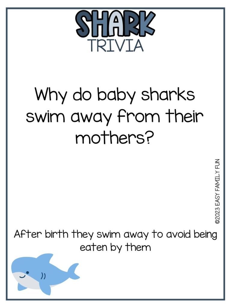 in post image with white background, blue border, bold blue title that states "Shark Trivia", text of a shark trivia question and answer, and image of a shark 