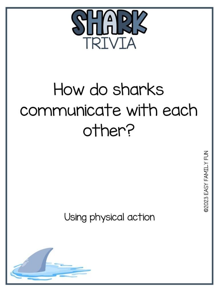 in post image with white background, blue border, bold blue title that states "Shark Trivia", text of a shark trivia question and answer, and image of a shark fin