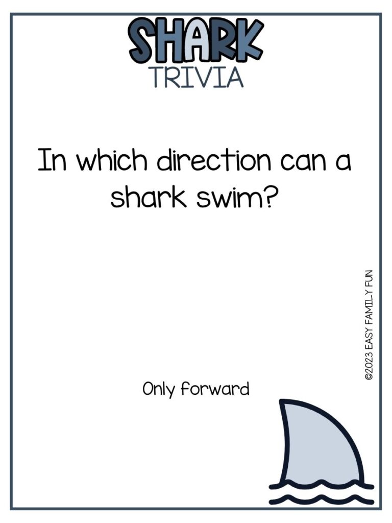 in post image with white background, blue border, bold blue title that states "Shark Trivia", text of a shark trivia question and answer, and image of a shark fin