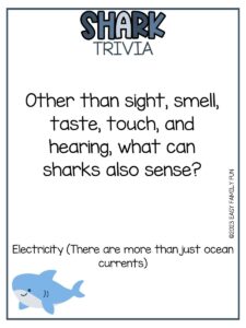 80 Fin-tastic Shark Trivia Questions and Answers